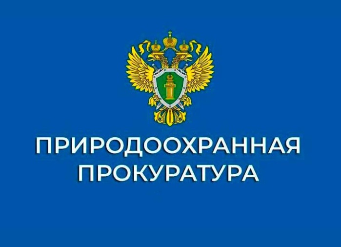 В Амурской области незаконно добыли 18 тыс. кубометров бурого угля